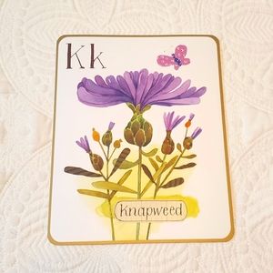 4 for $25! Letter K Knapweed Card with Butterfly